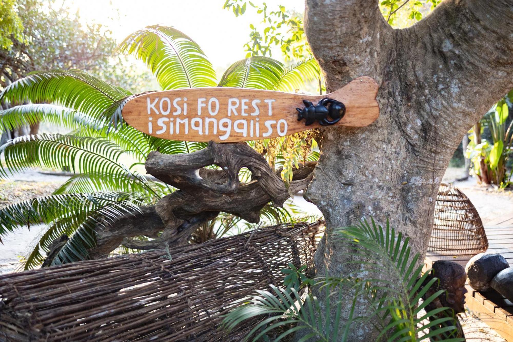 Kosi Forest Lodge Manguzi ภายนอก รูปภาพ