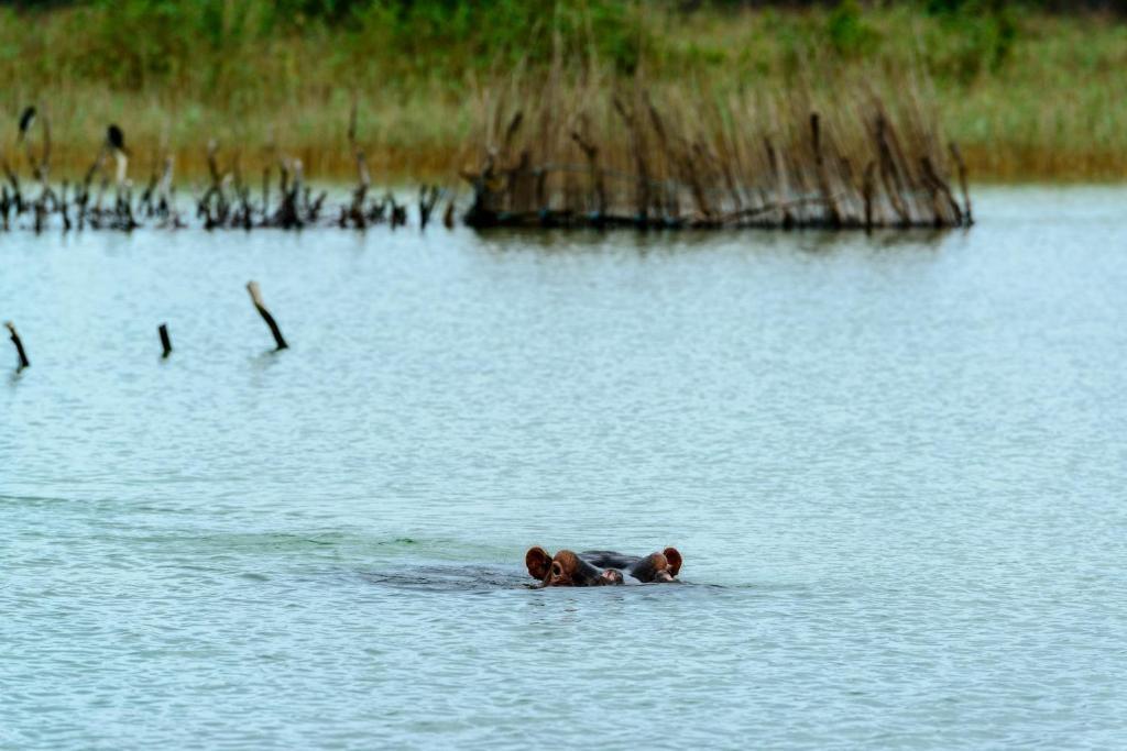 Kosi Forest Lodge Manguzi ภายนอก รูปภาพ