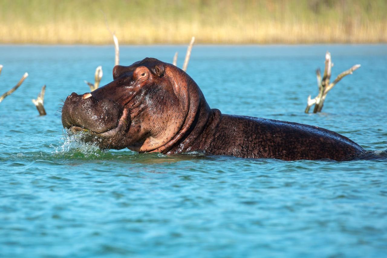Kosi Forest Lodge Manguzi ภายนอก รูปภาพ