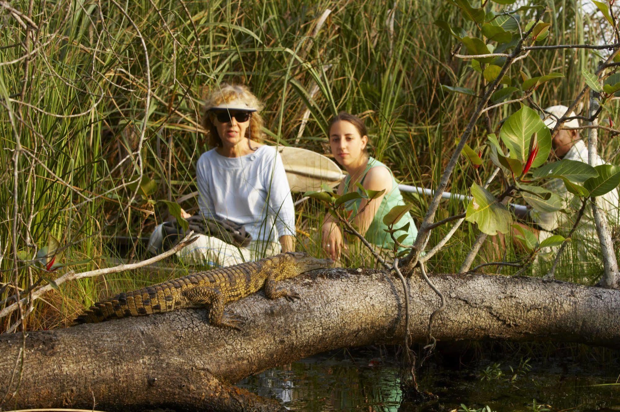 Kosi Forest Lodge Manguzi ภายนอก รูปภาพ