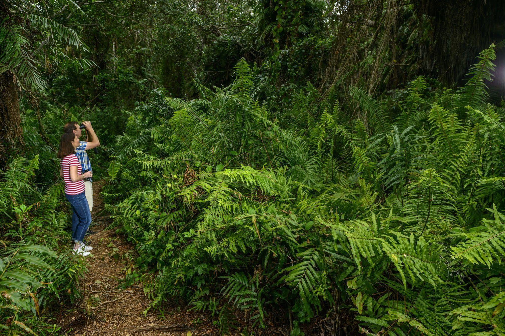 Kosi Forest Lodge Manguzi ภายนอก รูปภาพ